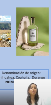 CHM161 - Prueba de germinación de semillas de sotol con diferentes concentraciones de ácido salic…