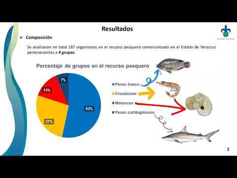 PBL087 - Composición y Origen de Especies Comercializadas en Pescaderías de Diferentes Puntos de…