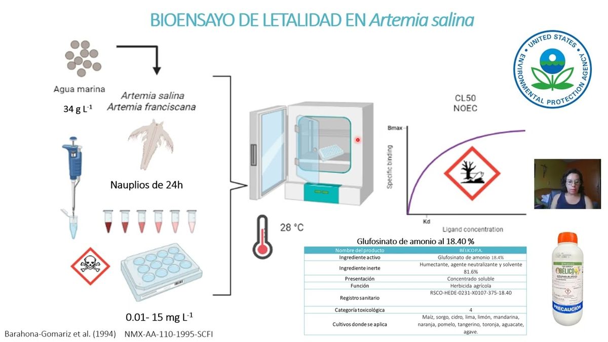 FRS007 - Evaluación de la Toxicidad Aguda del Glufosinato de Amonio Sobre Artemia salina