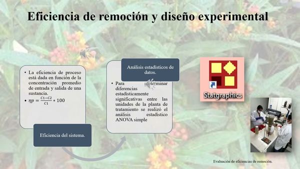 FRE004 - Remoción de Color y Turbiedad con Asclepias curassavica y Justicia comata l. lam en Humed…