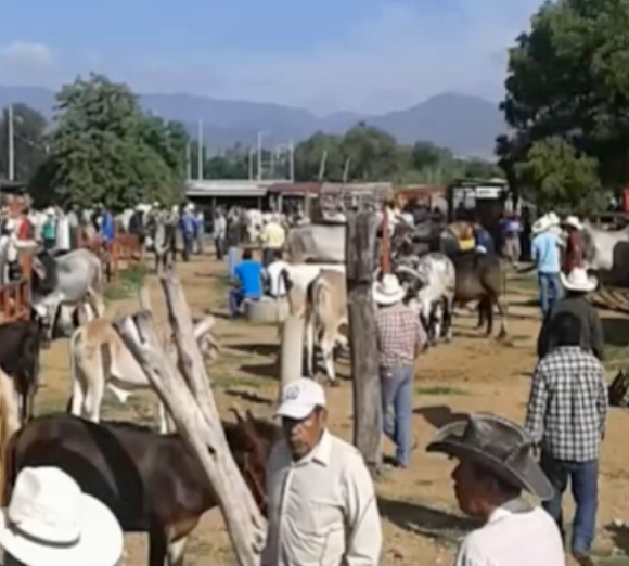 HUA101 - Estudio de Manejo Integrado de la Microcuenca del Municipio de Cuilápam de Guerrero, Oaxa…