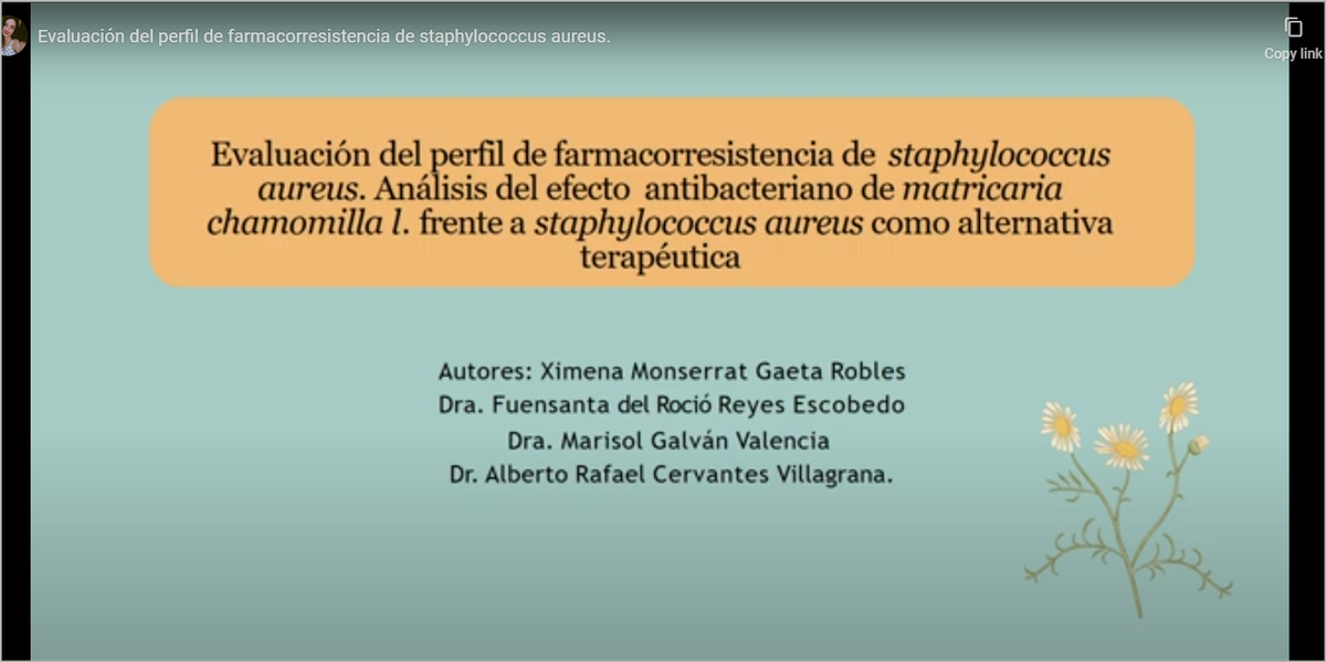 MLA119 - Evaluación del Perfil de Farmacorresistencia de Staphylococcus aureus Análisis del Efec…