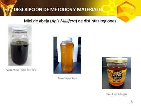 PUE134 - Caracterización Fisicoquímica y Organoléptica de Varios Tipos de Miel de Abeja (Apis Me…