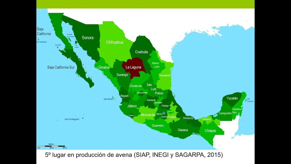 CLY243 - Rendimiento de Forraje de Trigos Harineros a través de dos Fechas de Siembra en Navidad, …