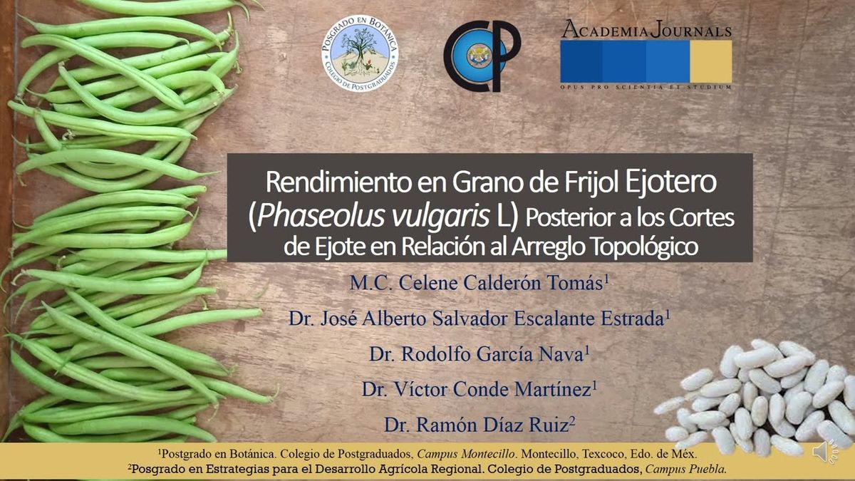 CEL521 - Rendimiento en Grano de Frijol Ejotero (Phaseolus vulgaris L) Posterior a los Cortes de E…