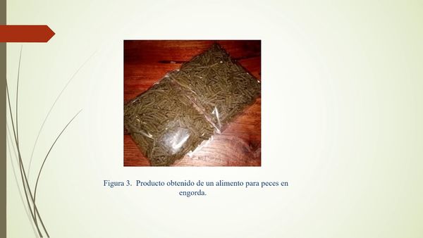 CCC-363 - MEJORAMIENTO DE LA FORMULACIÓN DE ALIMENTO PARA MOJARRA  TILAPIA (OREOCHROMIS NILOTICUS)…