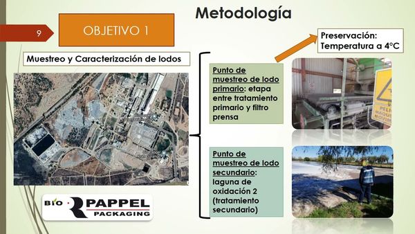PBL010 - Evaluación del Efecto de Pretratamientos en Lodos Primarios Lignocelulósicos en la Prod…