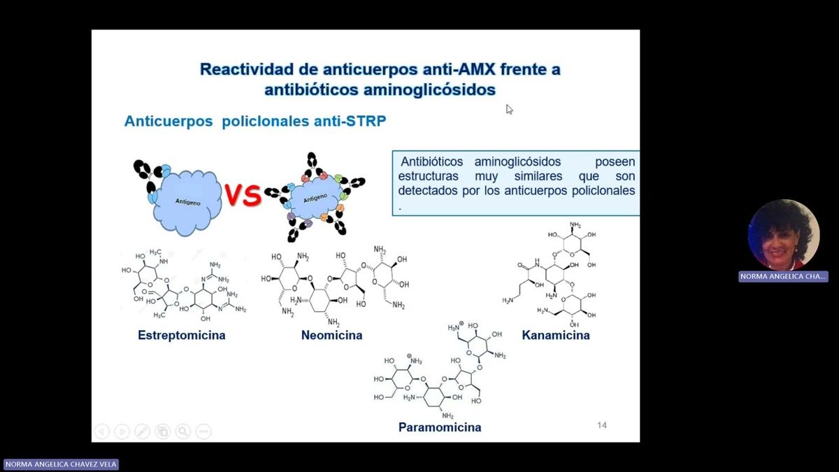 CYA024 - Estudio de la Presencia de Antibióticos Aminoglucósidos por Método Inmunoquímico en Ag…