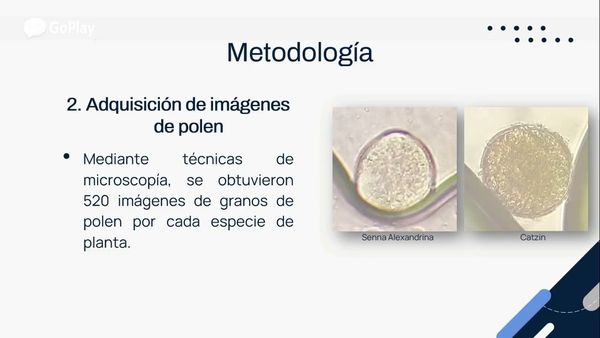 ZTP015 - Detección y Clasificación de Especies de Plantas a través de Imágenes de Polen Usando …
