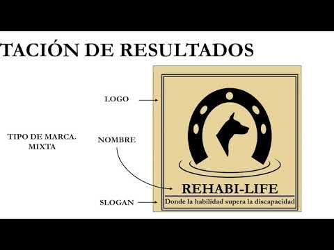 CTM119 - La Innovación Social en la Rehabilitación de la Discapacidad Infantil