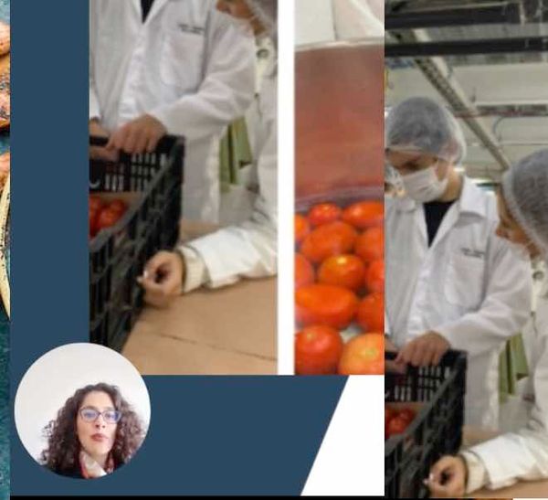 HDG051 - Metodología para Implementar los Atributos de Egreso al Programa Educativo de Ingeniería…