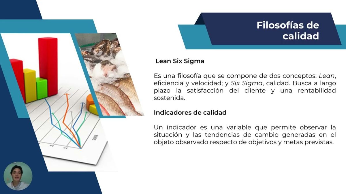 MLA054 - Aplicación de la Filosofía Lean Six Sigma y los Indicadores de Calidad para Incrementar…