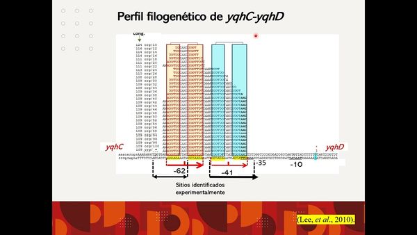 MED292 - Análisis Mecanístico de Factores de Transcripción de la Familia AraC/XylS