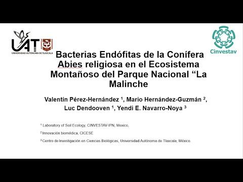 TLA066 - Bacterias Endófitas de la Conífera Abies religiosa en el Ecosistema Montañoso del Parqu…