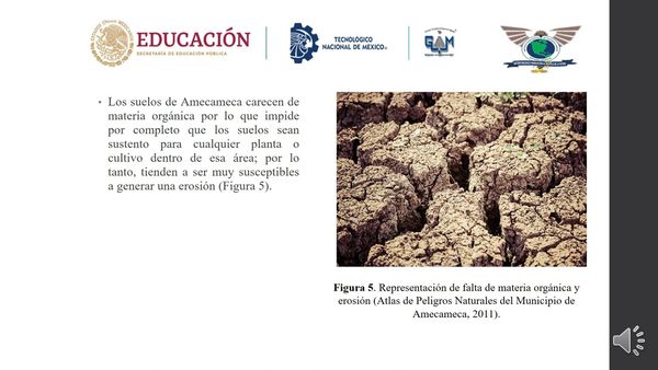 CHM249 - Biorremediación de Suelos Destinados a la Producción de Pinus hartwegii para el Municip…