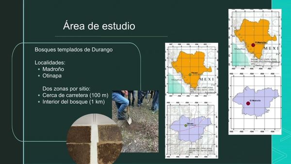 NOV008- Evaluación de la calidad de suelo y su relación con la presencia del género Phoradendron…