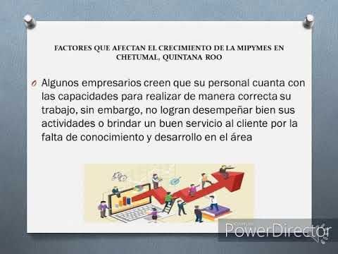 CTM065 - Factores que Afectan el Crecimiento de las MiPyMEs en Chetumal, Quintana Roo