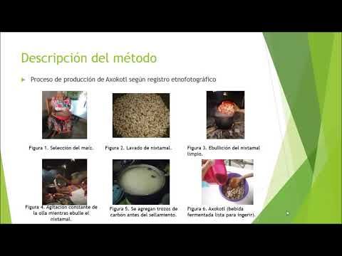 H194 - AXOKOTL: PATRIMONIO BIOCULTURAL DE LA HUASTECA HIDALGUENSE