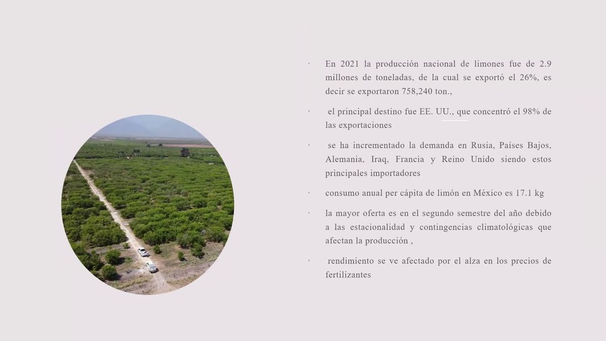 CHM047 - Panorama de la Producción de Limones y su Exportación a la Unión Europea