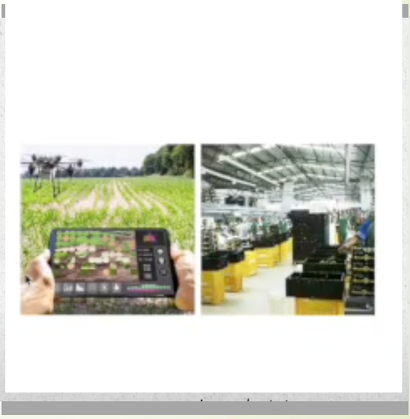 ZTP140 - Estrategias de Marketing Digital en la Agroindustria Mexicana: un Enfoque para la Competit…