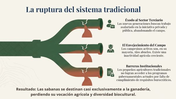 ITG003- Prácticas Agroecológicas Ancestrales y Sustentables en una Comunidad Indígena Yokot´an …