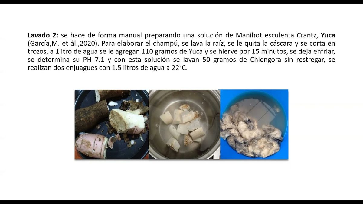 HID259 - Estudio Comparativo de la Efectividad del Lavado de Chiengora-Pelo de Perro-con Saponinas …