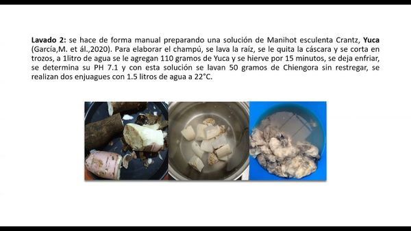 HID259 - Estudio Comparativo de la Efectividad del Lavado de Chiengora-Pelo de Perro-con Saponinas …