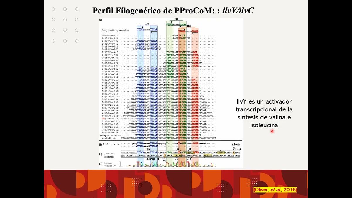 MED272 - Regulación Transcripcional de la Biosíntesis de Aminoácidos Derivados de la Glucólisis…