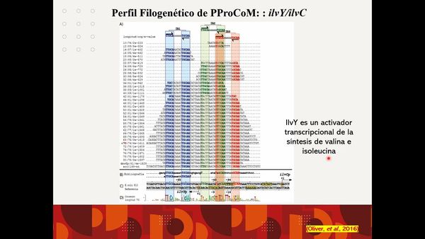 MED272 - Regulación Transcripcional de la Biosíntesis de Aminoácidos Derivados de la Glucólisis…