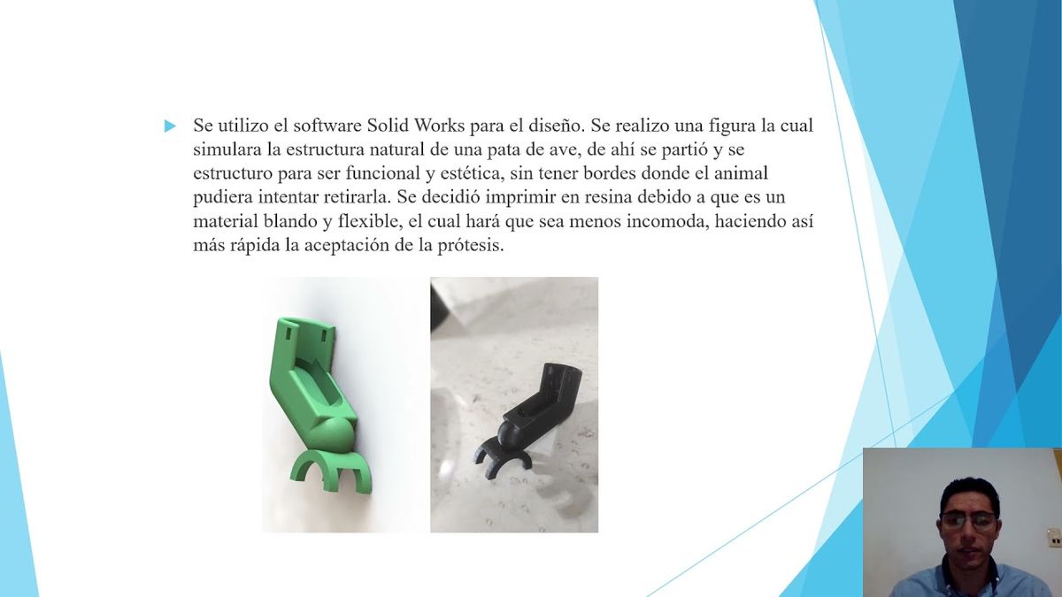 CLY345 - Diseño de una Prótesis para un Ave Doméstica por medio de una Impresora 3D