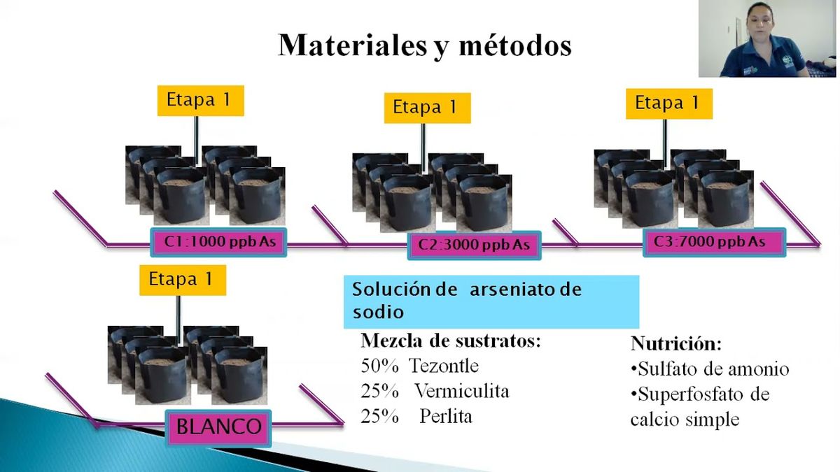 MOR258 - Estudio de la Reflectancia Espectral para Estimar Concentraciones de Arsénico en la Hoja …