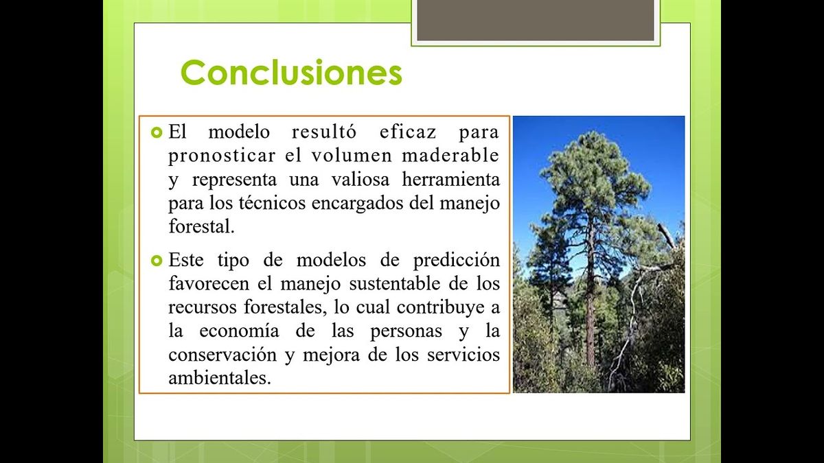 CDX144 - Pronóstico Maderable de un Bosque Ejidal del Suroeste del Estado de Durango