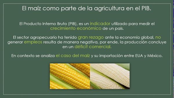 CCC-467 - CUESTIONES RELEGADAS EN EL CAMPO MEXICANO PERSPECTIVAS DE REDENCIÓN ANTE EL T-MEC