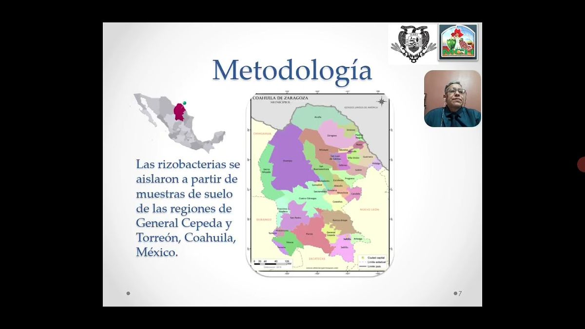 FRS199 - Caracterización Molecular de Rizobacterias Nativas