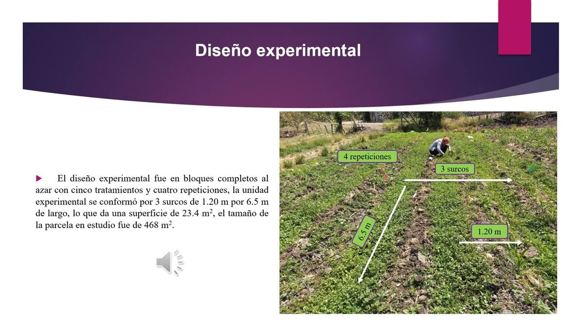 PBL253 - Efecto de Herbicidas sobre la Población de Malezas Dicotiledóneas en el Cultivo de Cala…