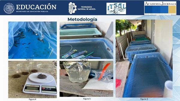 NOV015- Efecto de la Salinidad sobre el Crecimiento y Bienestar de la Tilapia  (Oreochromis nilotic…