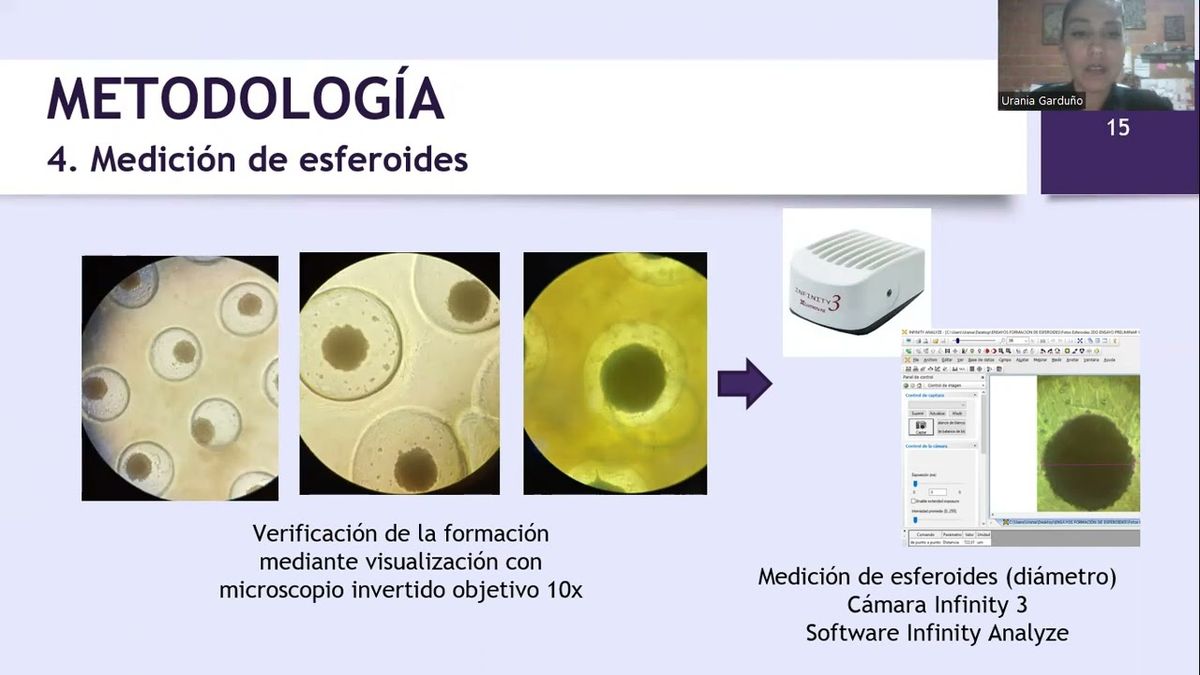 CHP100 - Caracterización molecular de esferoides tumorales de células HeLa cultivados en hidroge…