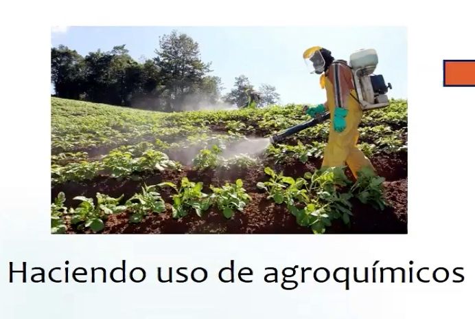 MED073 - Efecto de Nanopartículas de Óxido de Zinc en la Concentración de Pigmentos Fotosintéti…