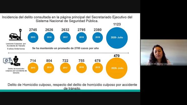 H348 - REFLEXIONES EN TORNO A LOS DELITOS DE LESIONES Y HOMICIDIO CULPOSO POR HECHOS DE TRÁNSITO E…
