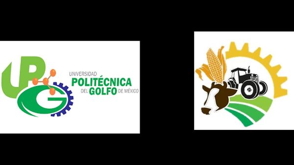 HDG339 - Efecto de tratamiento con micorrizas sobre el desarrollo de Vigna unguiculata en suelos de…