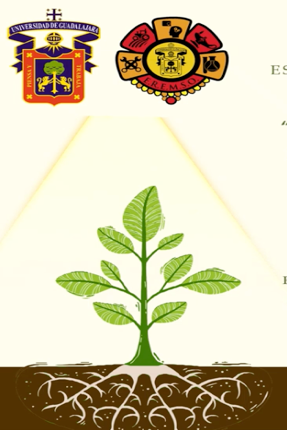 PUE008 - Extracción de Cobre en Suelo Contaminado por Medio de Fitoextracción a través de la …