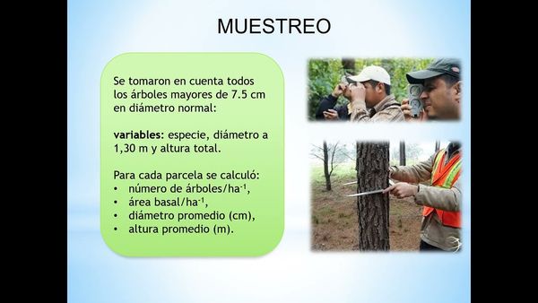 HDG184 - Indicadores de Biodiversidad Arbórea de una Región Boscosa del Suroeste del Estado de Du…