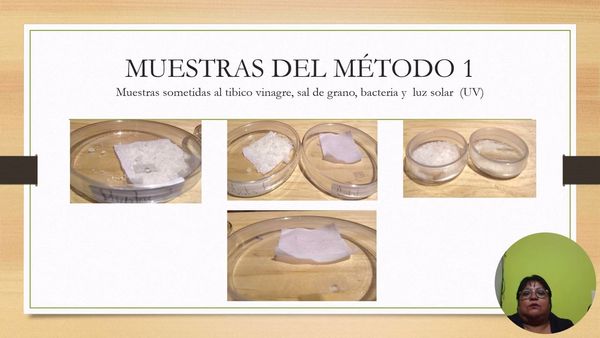 HDG206 - Biodegradación de la Poliamida y Elastano en las Pantimedias Médicas de Compresión