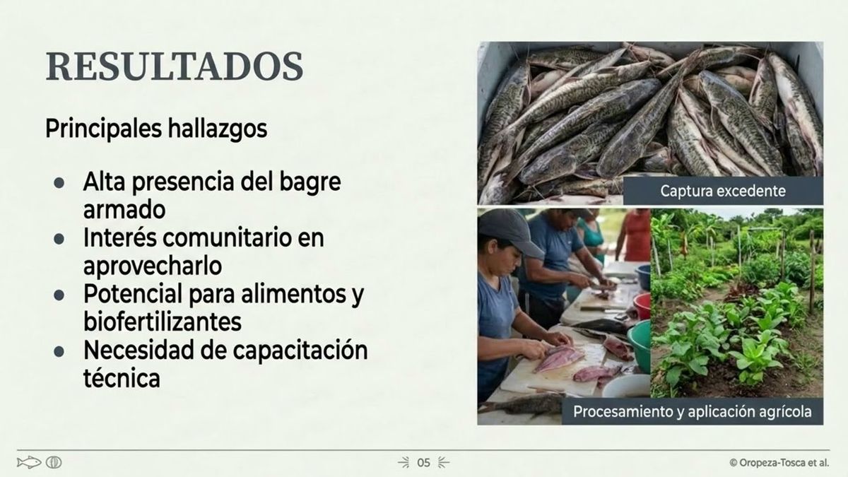 CHE076- Aprovechamiento del bagre armado (Pterygoplichthys spp.) como recurso productivo para el de…