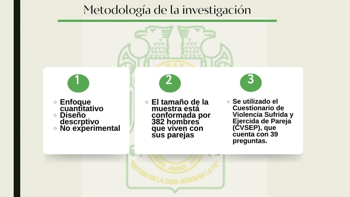 MTR113 - Violencia Sufrida y Ejercida en Hombres por Parte de su Pareja