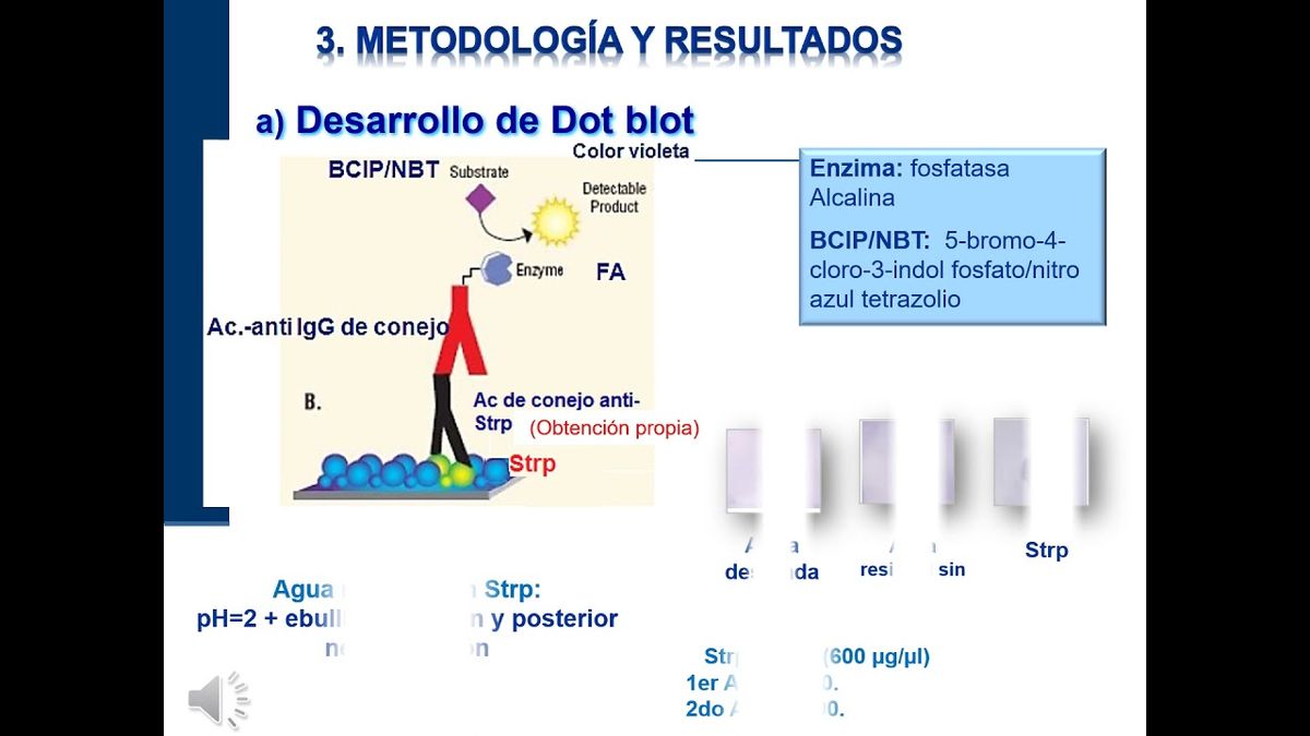 PUE106 - Detección del Contaminante Emergente Estreptomicina en Aguas Residuales Mediante Inmunoen…