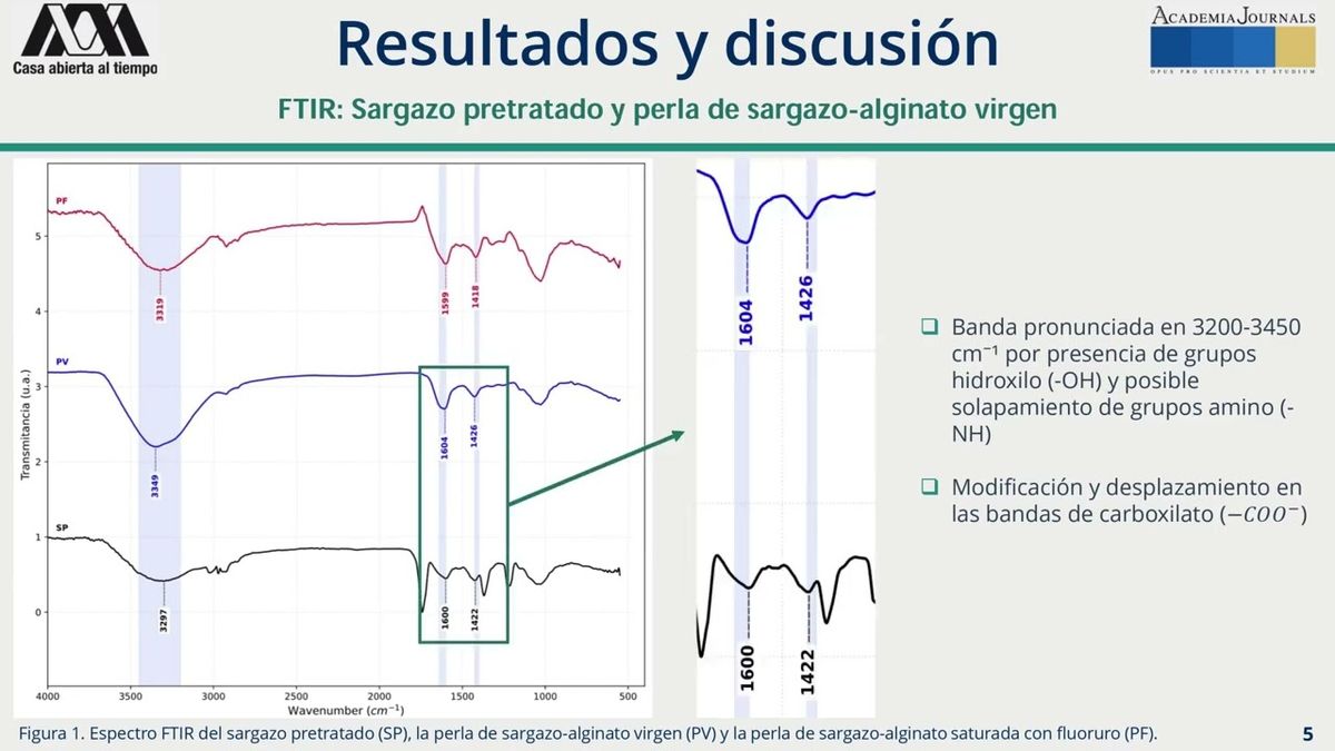 CHE099- Evaluación de la Remoción de Flúor, Arsénico y Cobre en Agua con Biomasa de Sargazo # C…