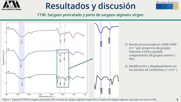 CHE099- Evaluación de la Remoción de Flúor, Arsénico y Cobre en Agua con Biomasa de Sargazo # C…