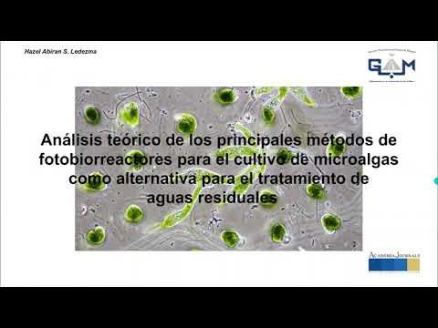 CHM238 - Análisis Teórico de los Principales Métodos de Fotobiorreactores para el Cultivo de Mi…