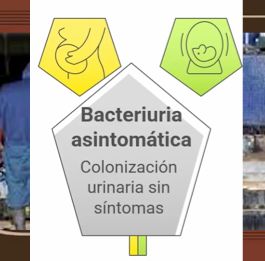 MED397 - Edad Gestacional con Mayor Frecuencia de Bacteriuria Asintomática en Embarazadas